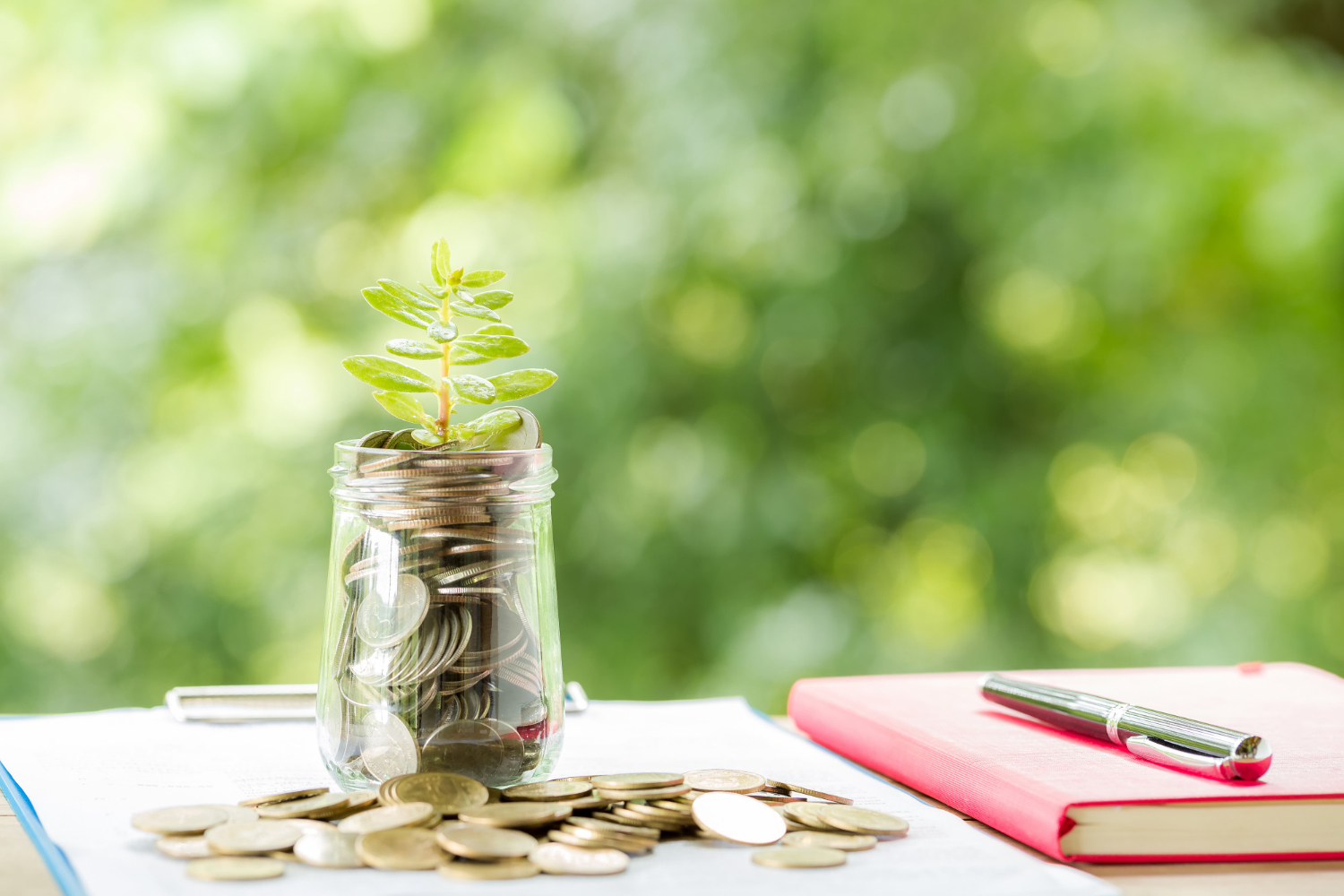 Improve Financial Literacy: Start Learning Today