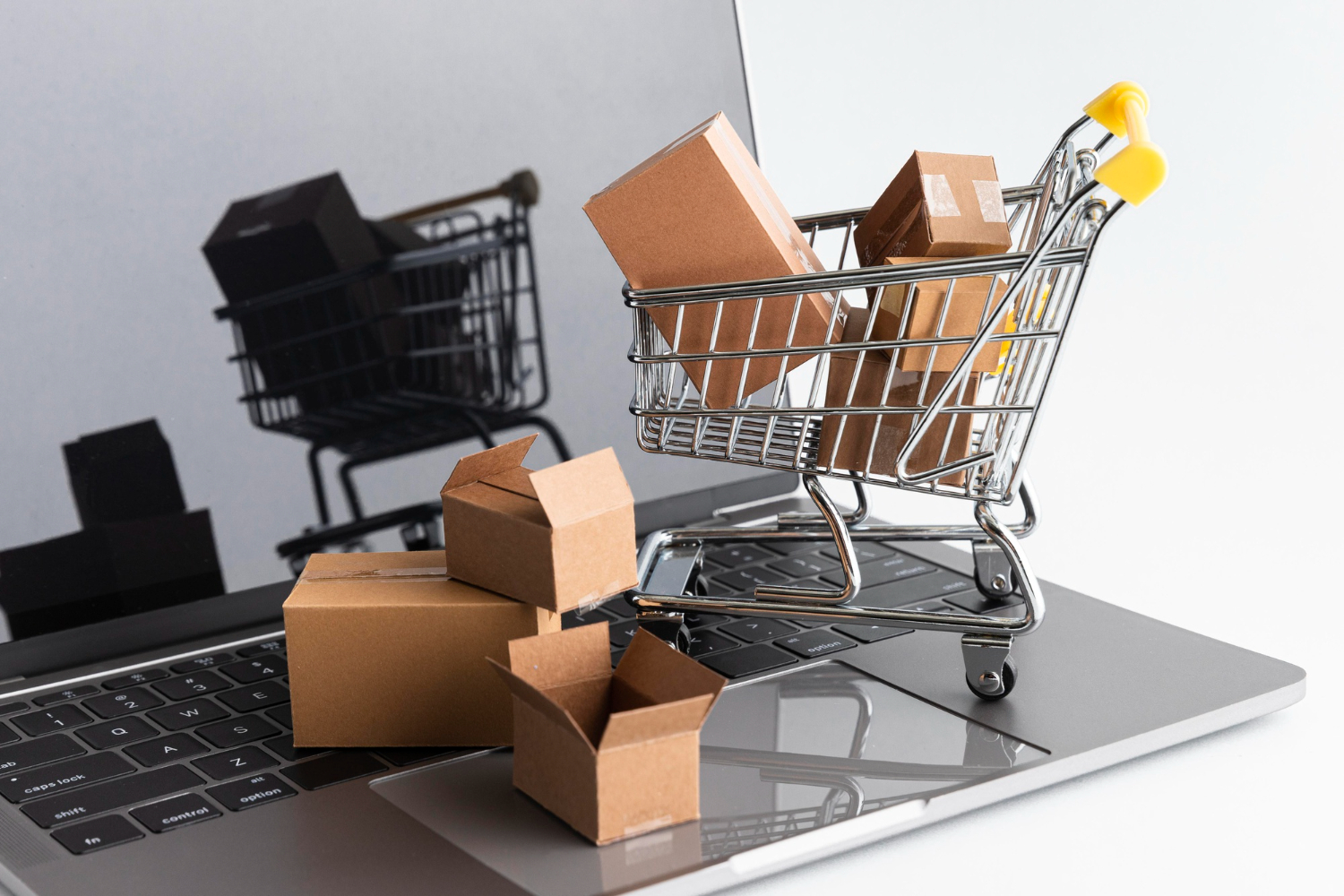 Ecommerce Business Services for Your Success